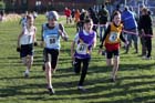 Minor boys 7. Photo: David T. Hewitson/Sports for All Pics